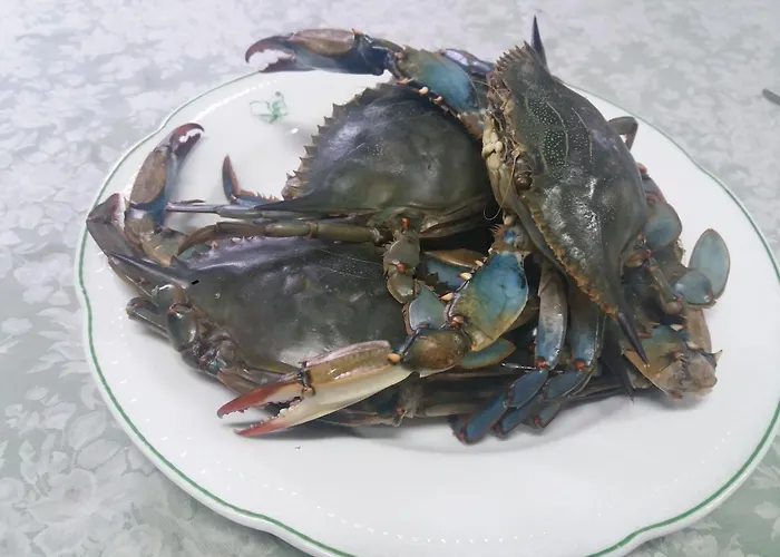 La Villa dei Gourmets - Struttura Sanificata Foggia